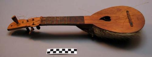 Guitar of wood and armadillo skin