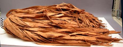 Skirt made of willow bark