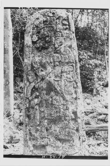 Stela 9 - front