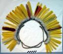 Feathers for ornamenting instrument in the yurupary dance