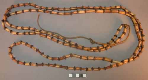 Necklace of bone and seeds