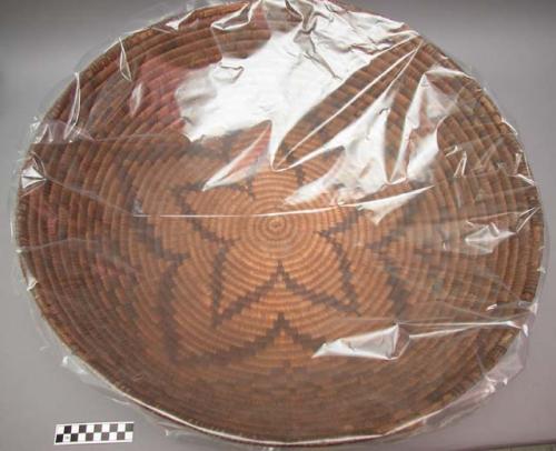 Large basket tray, coiled. Made of bear grass and devil's claw.