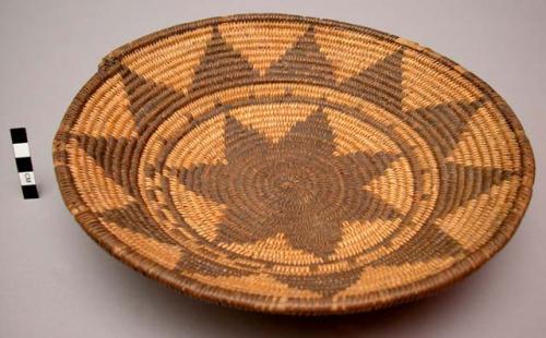 Basket tray, coiled. Made of bear grass and devil's claw. Star design.