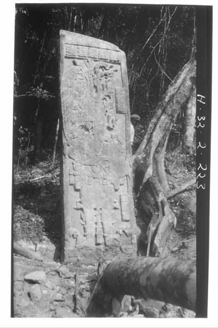 Structure I - Stelae 52