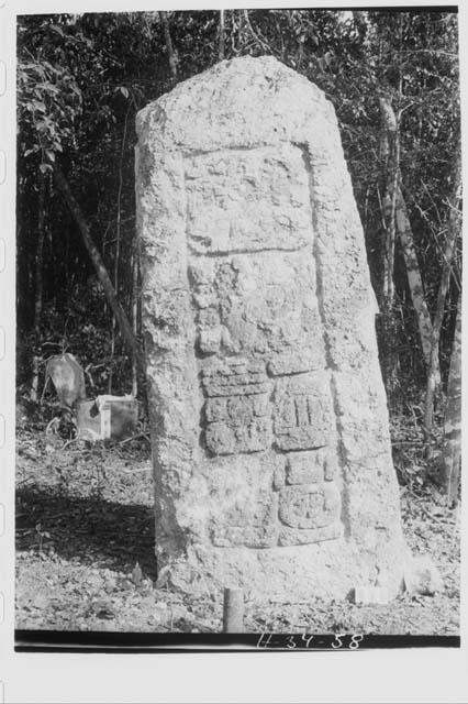 Stela 18 - back