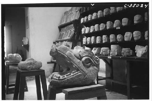 Serpent balustrades. Head from platform of Cones. Now in State museum, Merida, Y