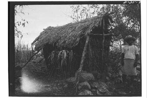 Chicken Coop