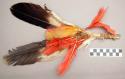 Hopi headdress. 2 eagle feathers and other dyed feathers.