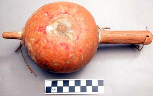 Hopi gourd rattle (aya). Gourd body w/ wood handle through it and pegged at top.