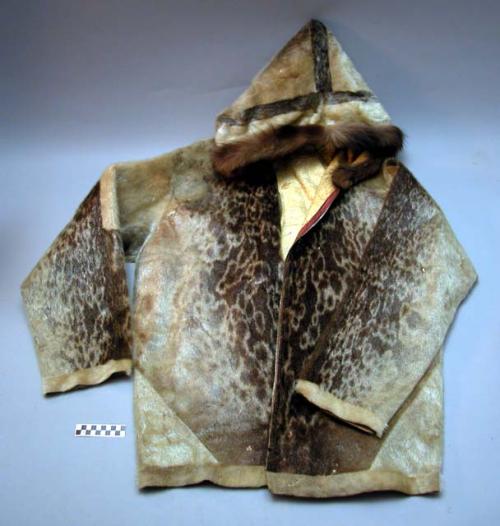 Hooded fur coat - sealskin ?