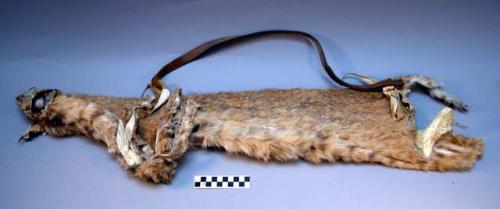 Quiver of wildcat skin to hold bow, arrows and fire drill (cf. 5028 & 5029)