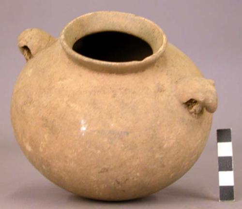 Pottery vessel- typical example of the armadillo-terra cotta ware