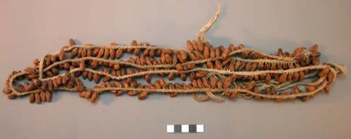 Seed necklaces or bandoliers