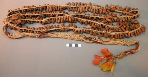 Seed necklaces or bandoliers