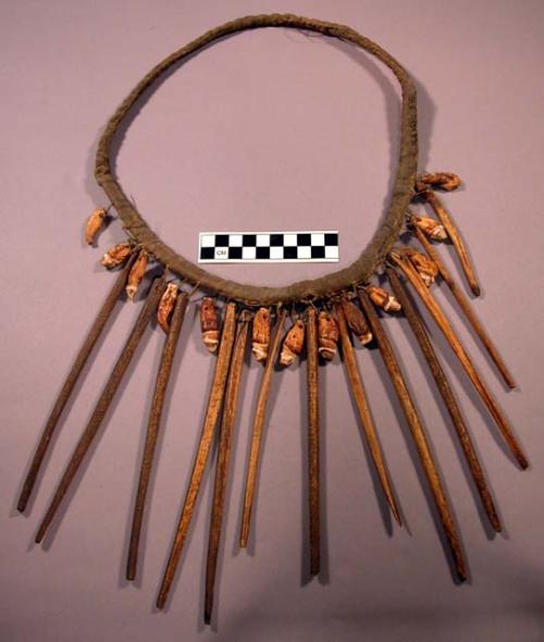 Necklace of bears teeth & penis bones