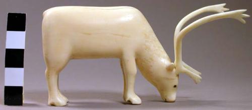 Ivory carving - caribou