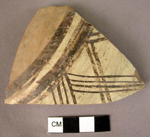 One polychrome body sherd