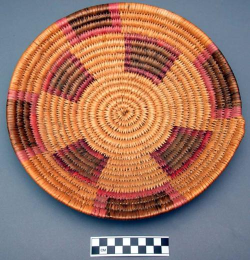 Small basket tray, coiled.