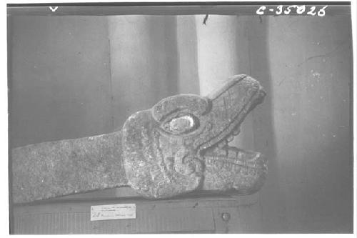 Serpent balustrades. Head. Platform of Cones., Chichen Itza. Now in State museum