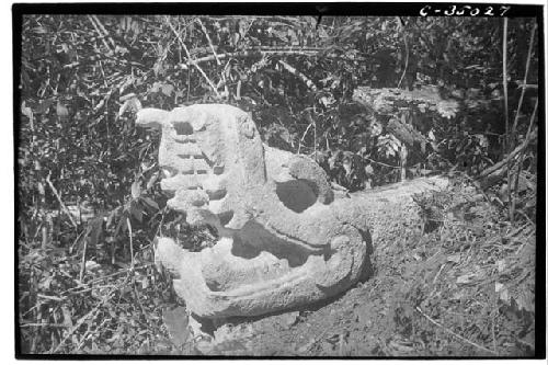 Serpent balustrades: Head from Ball Court N.E. of Mercado.