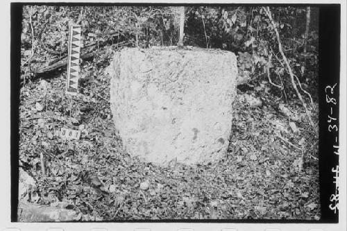 Structure 4 - stone base of pyramid, east side of stairway