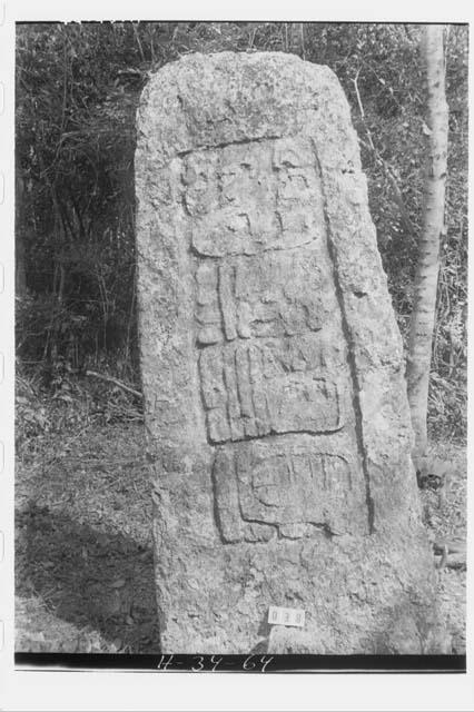 Stela 19 - back