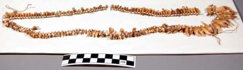 Woman's necklace of white glass beads and animal teeth