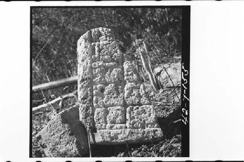 Upper left hand corner of stela