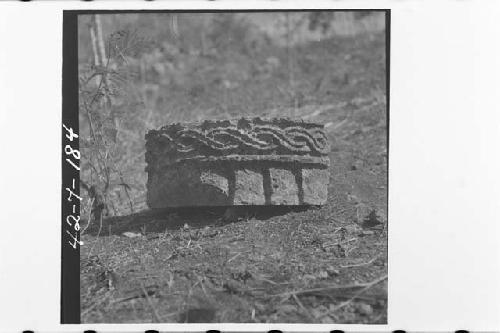 Structure 2C1. Detail of carved facade stone from debris in front of platform