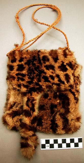 Pouch made of ocelot skin