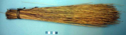 House broom