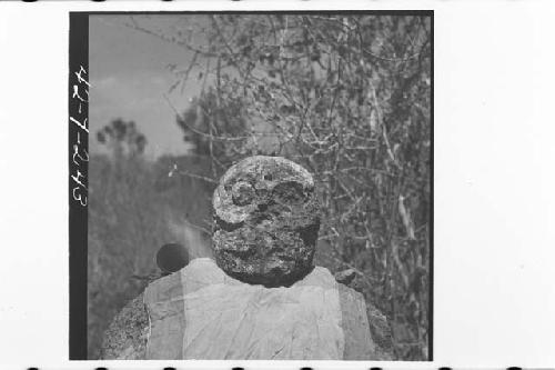 Stone head from area between Structures Q66 and Q79