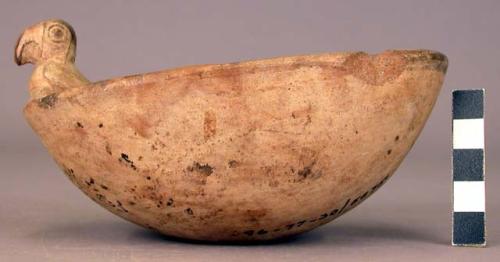 Ceramic bowl, oval with bird effigy on rim, round bottom