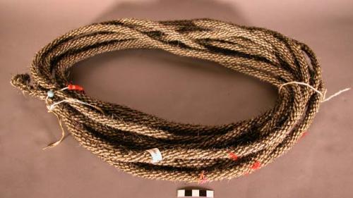 Blackfoot rope. Black and white braided horsehair. Coiled and tied in 2 places.