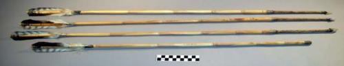 Cane arrows, for big game, foreshaft of arrow weed