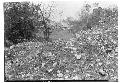 Structure 3E3. Looking across top of mound southwest.