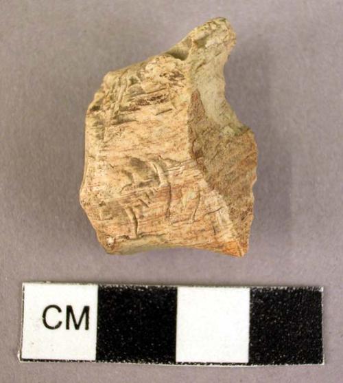 Chert parrot beak scraper