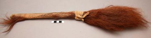 Crow ceremonial whisk. Bison calf tail, partially wrapped around wood