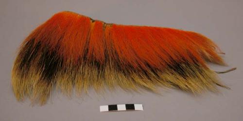 Roach, possibly Cheyenne. Deertail on each side. Dyed orange.