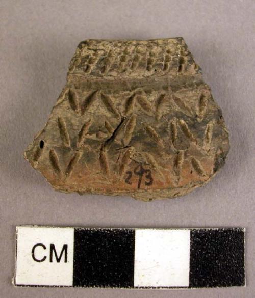 Potsherd, rim