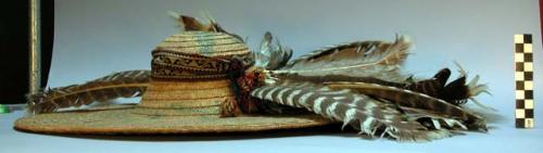 Hat with feather decoration