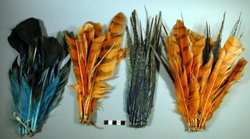 Feather ornaments