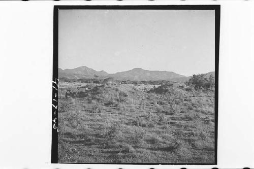 Mounds 3, 4, 5, 7 and 8 before excavation