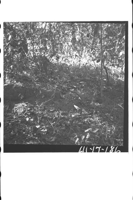 Crude stone wall, about 7 m long, on top of hill