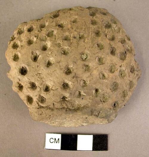 Potsherd of barbotine ware of dimpled type