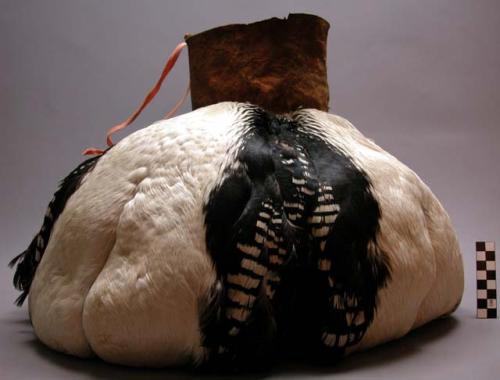 Loon bag for carrying purposes