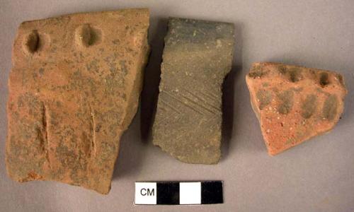 12 impressed ware rim sherds