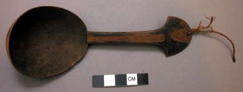 Wooden spoons (labelled)