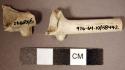 Pieces of white clay pipe stems - kaolin