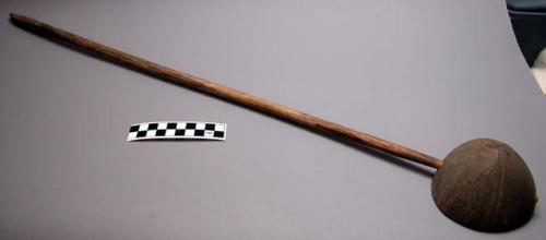 Ladle, worked wood handle, flat at end; coconut shell ladle, cracked